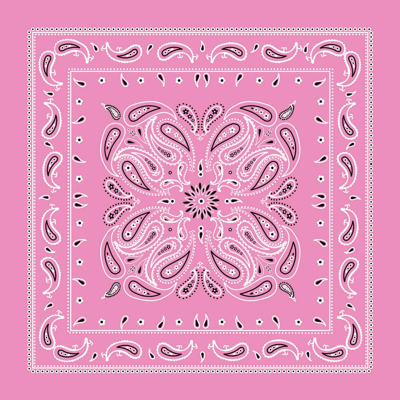 Paisley Bandana by Make Market®